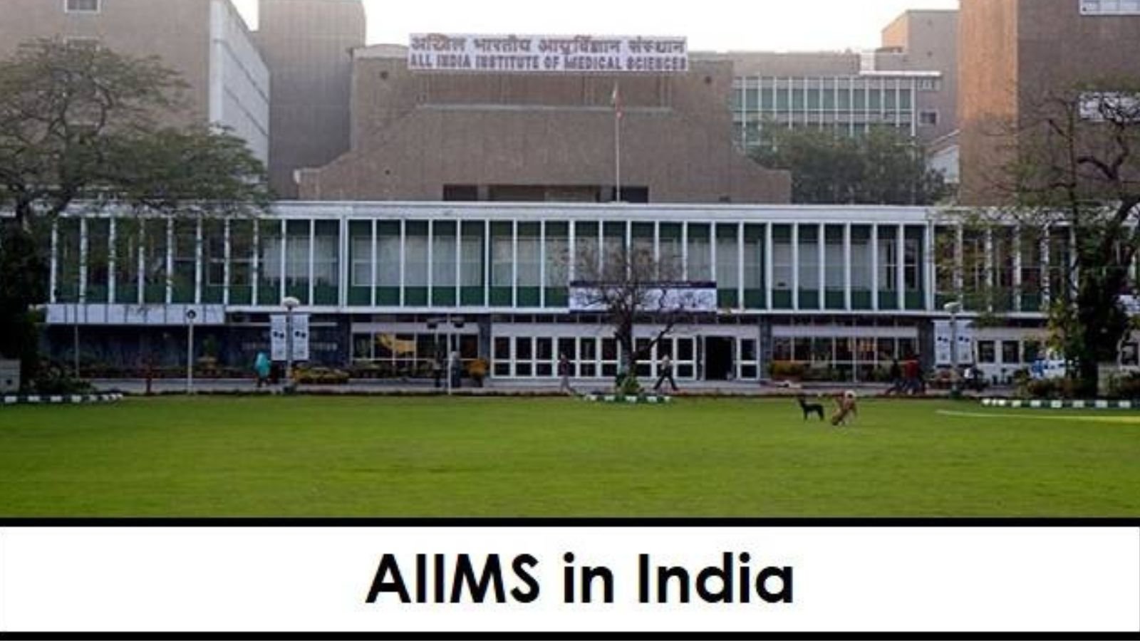 AIIMS Hospital