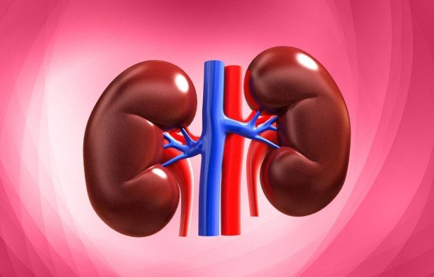 5 Foods That Prevent kidney Damage
