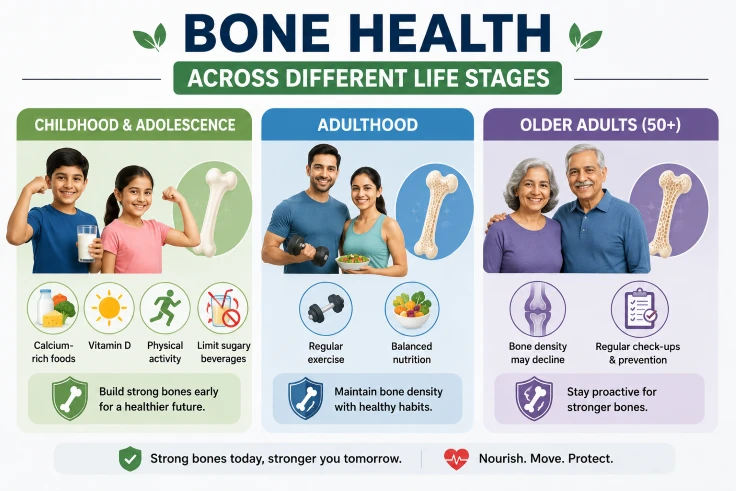bone health across diferent ages