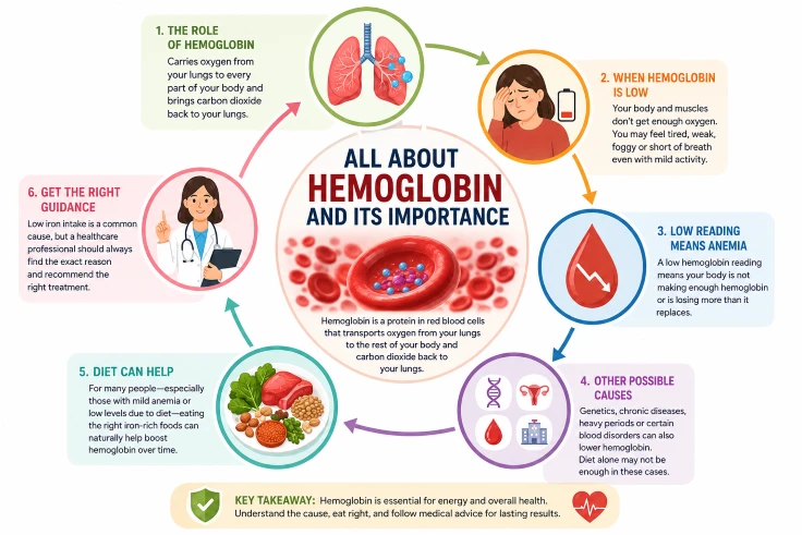 hemoglobin and its importance