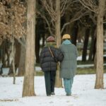 Two people walking arm in arm in a snowy park during winter